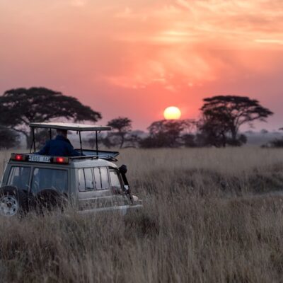 Safari Experience
